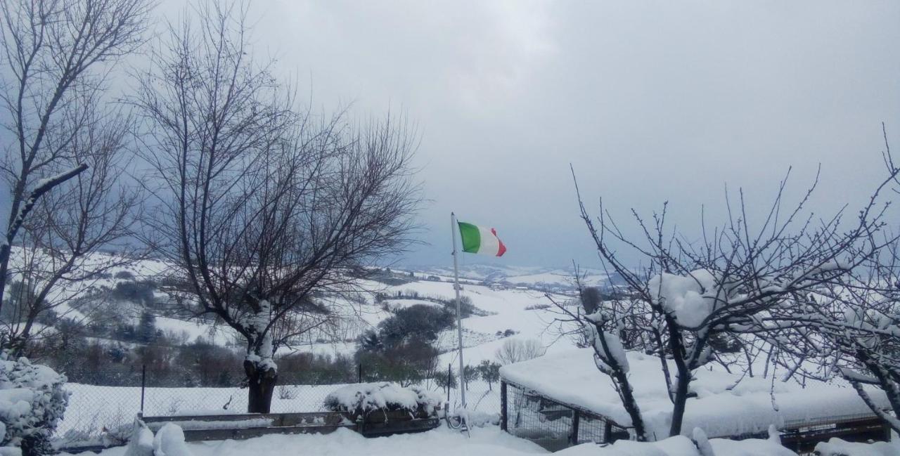 Barbagianni Villa Senigallia Bagian luar foto