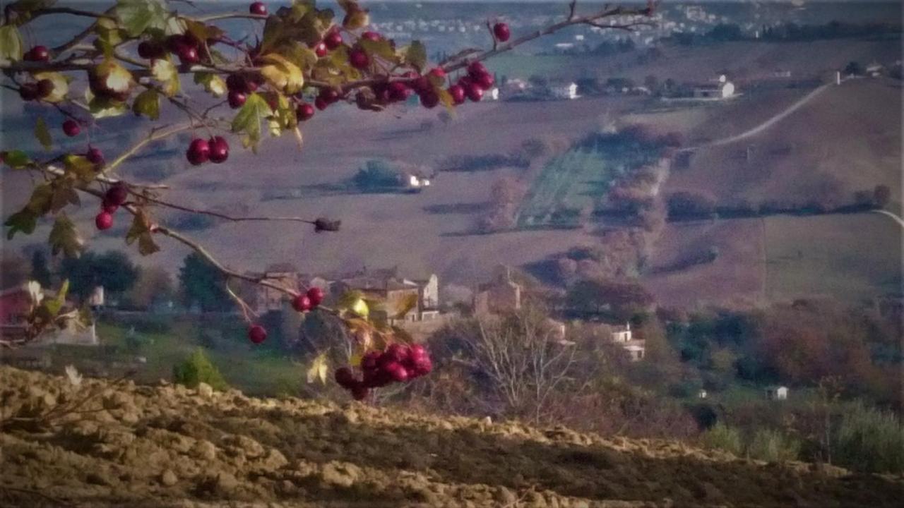Barbagianni Villa Senigallia Bagian luar foto