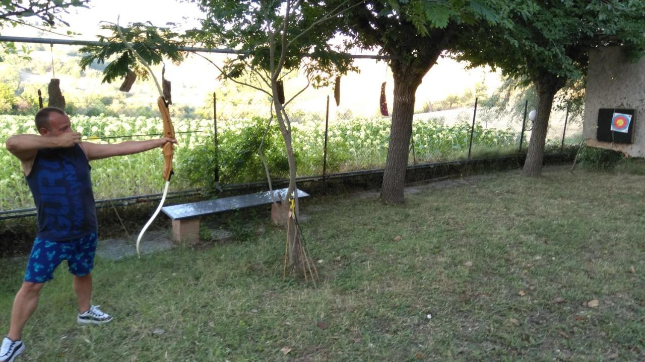 Barbagianni Villa Senigallia Bagian luar foto