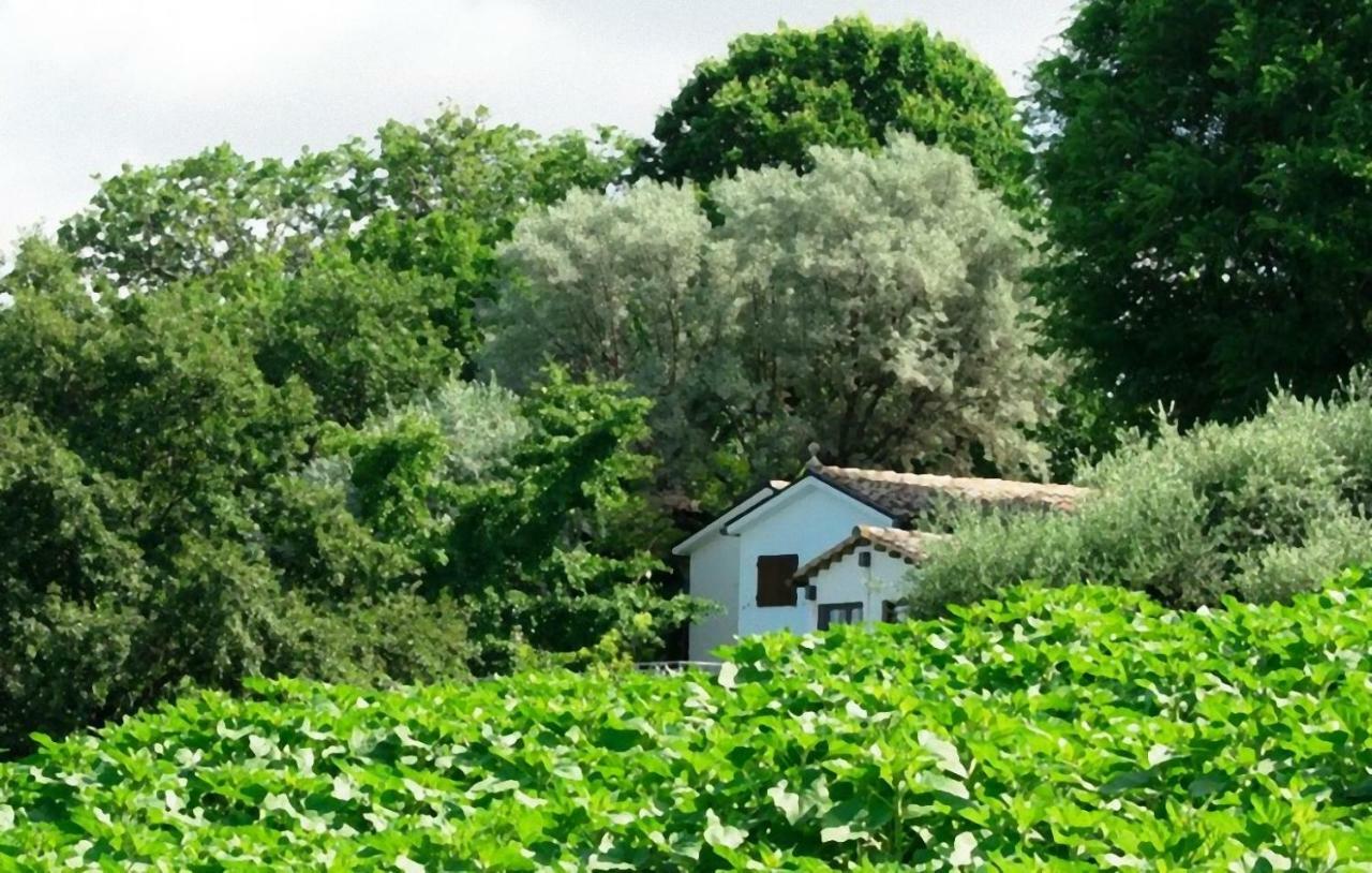 Barbagianni Villa Senigallia Bagian luar foto